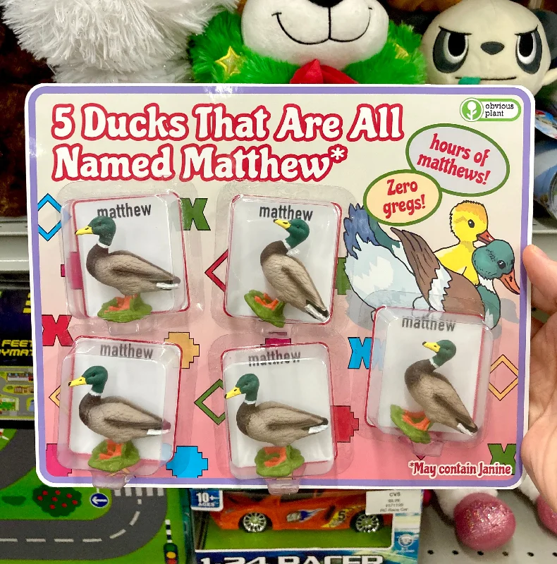  -Non-toxic pet toy recommendations5 Ducks That Are All Named Matthew