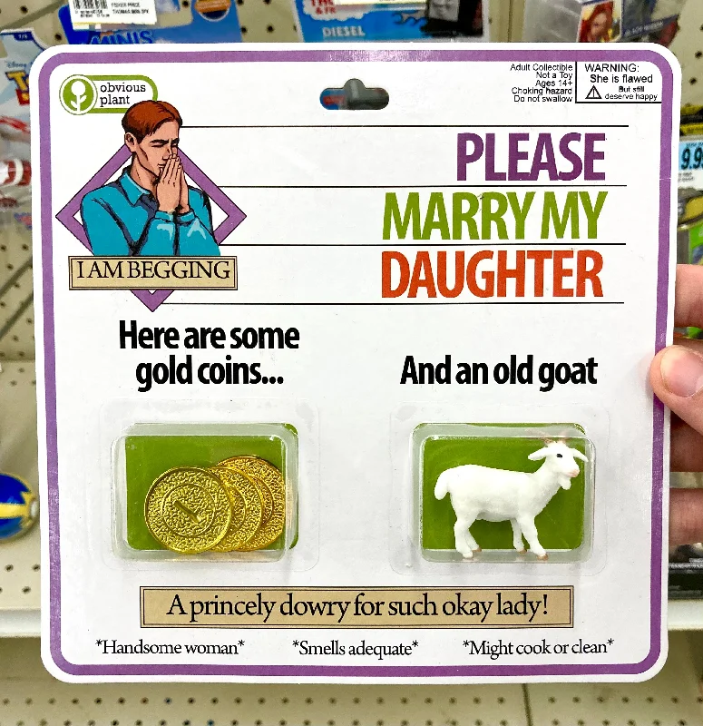 - Pet teething toy recommendationsPlease Marry My Daughter