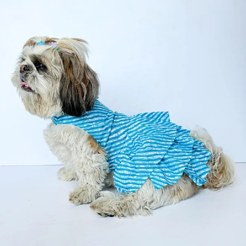 - Rabbit grass rack to prevent waste food boxPawgypets Lehriya Dress for Dogs and Cats (Blue) - Rabbit grass rack to prevent waste food boxPawgypets Lehriya Dress for Dogs and Cats (Blue)