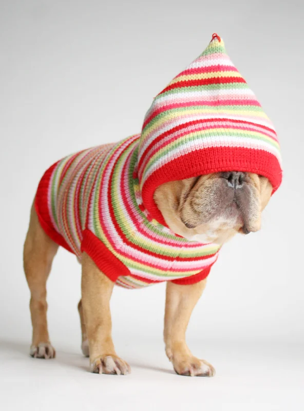 Pet cartoon pattern clothesFruit Stripe Dog Sweater