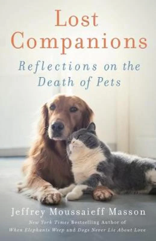 - Pregnant cat delivery room warming boxLost Companions