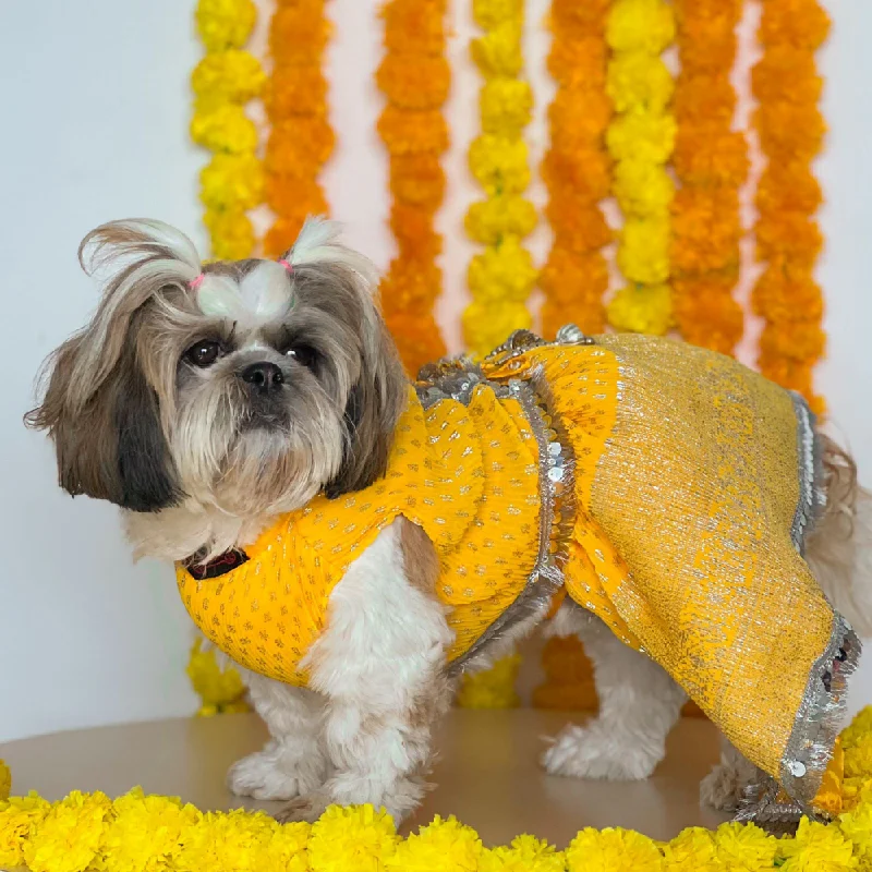 - Postoperative pet anti-licking Elizabethan collarPawgypets Pleaty Lehenga for Dogs and Cats (Yellow)