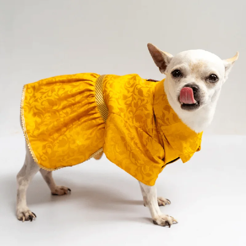 - Teething and chewing toys for puppiesPawgypets Occasion Wear Dress for Dogs and Cats (Yellow)