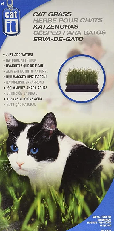    - Cat food for immune system support  Catit - Cat Grass Kit 75g