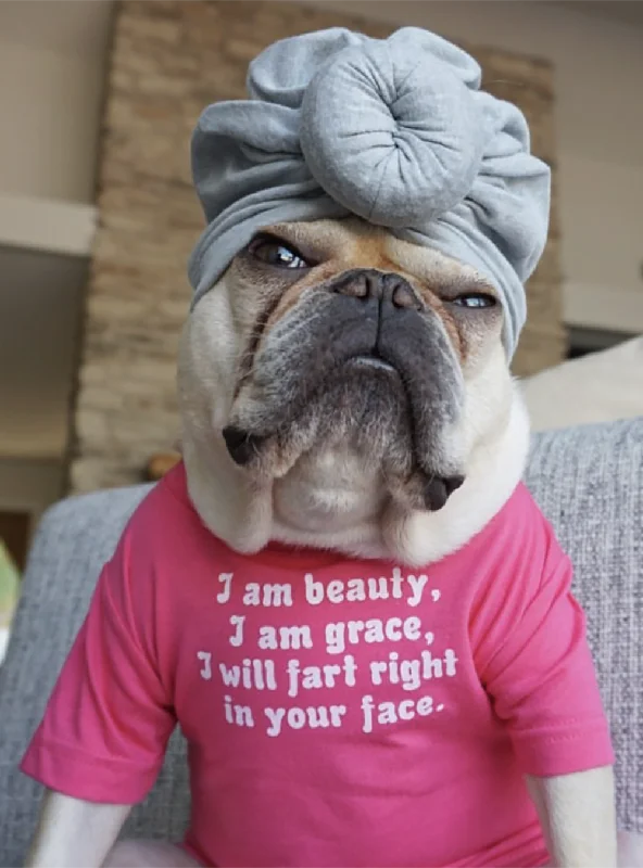 Pet rehabilitation recovery clothes (such as post-operative clothes)Beauty And Grace Dog Tee