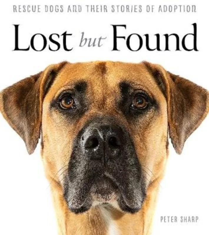 - Pet diabetes prescription foodLost But Found