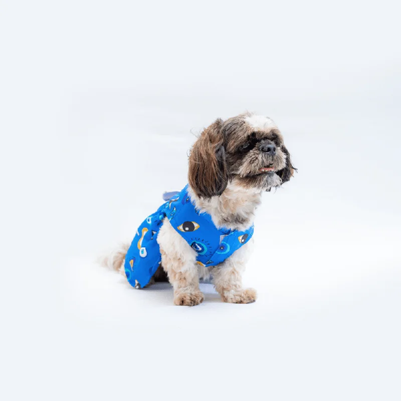 - ​​Christmas pet Christmas clothingPawgypets Evil Eye Casual Dress for Dogs and Cats