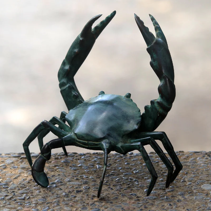 - Pet electric nail grinder silent modelSanur Crab Realistic Handcrafted Antiqued Bronze Crab Sculpture