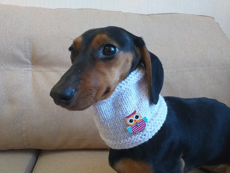 - ​​Christmas pet Christmas clothingChristmas snood dog scarf, dachshund scarf, dachshund snood, dog snood scarf