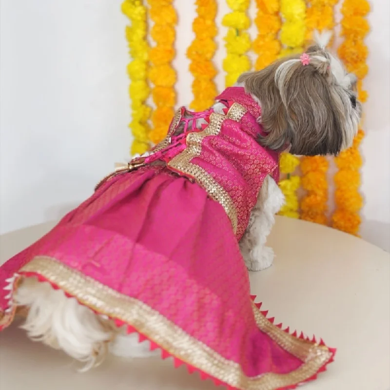 - Deodorizing cat litter tofu litterPawgypets Brocade Lehenga for Dogs and Cats (Pink) - Deodorizing cat litter tofu litterPawgypets Brocade Lehenga for Dogs and Cats (Pink)