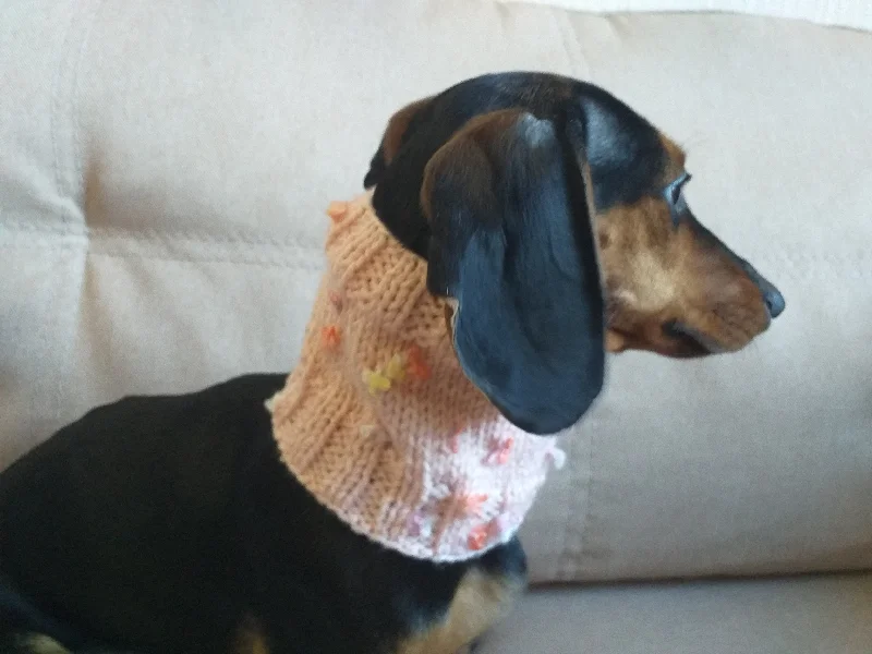 - Winter dog thick down jacketButterfly flower dog snood scarf dog warm scarf winter clothes dog accessories fashion dog scarf puppy clothes