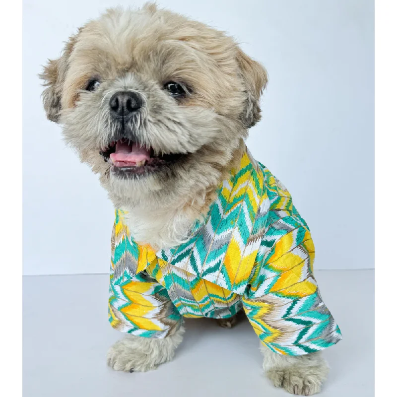 - Summer pet ice matPawgypets Zig Zag Kurta for Dogs and Cats (Green)