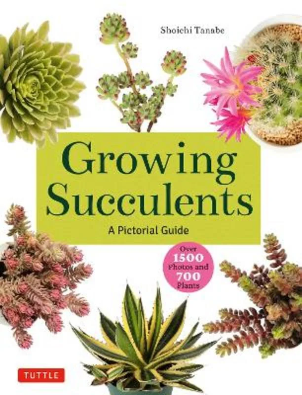 - Parrot climbing and standing wooden frameGrowing Succulents