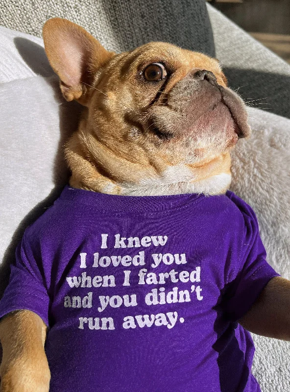 Pet lace clothesI Knew I Loved You Dog Tee
