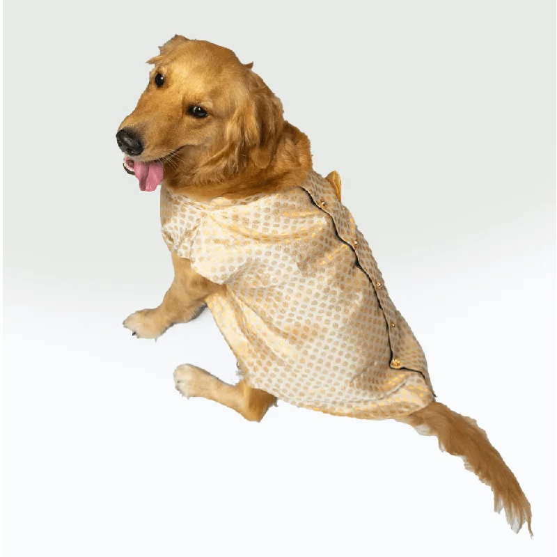 - Air box TSA certified check-inPawgypets Sherwani for Dogs and Cats (White)