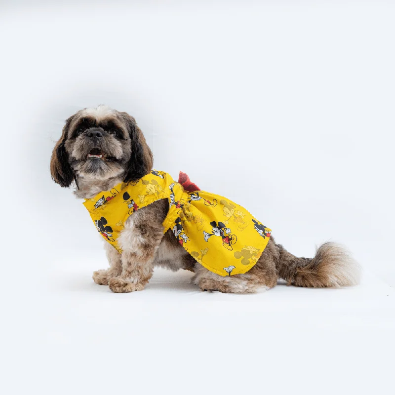 - Cat stress soothing sprayPawgypets Mickey Casual Dress for Dogs and Cats (Yellow)