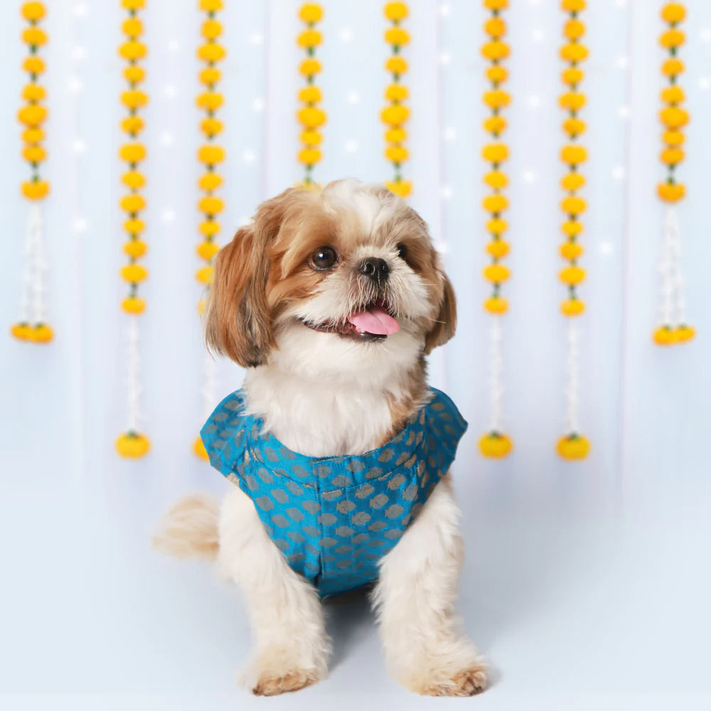 ---Pet Set Go Kurta with Bowtie  for Dogs (Blue)