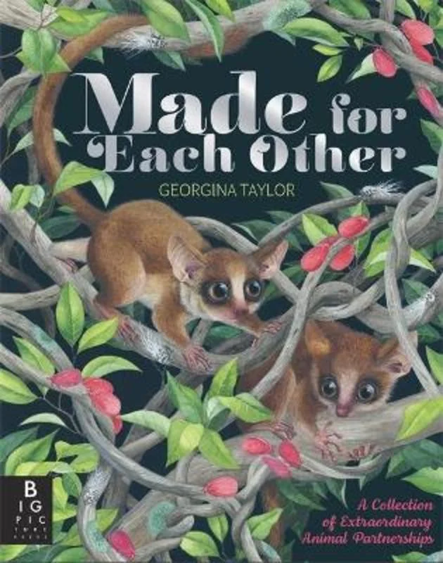 - Summer pet ice matMade for Each Other