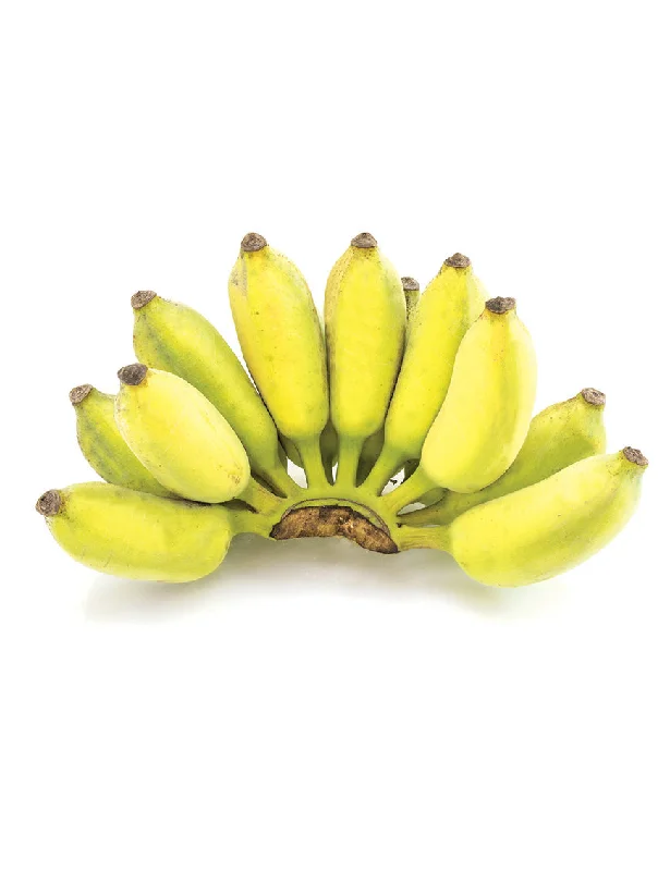 - Hamster silent running wheel to prevent chewingAMBUL Banana, (about 1kg)