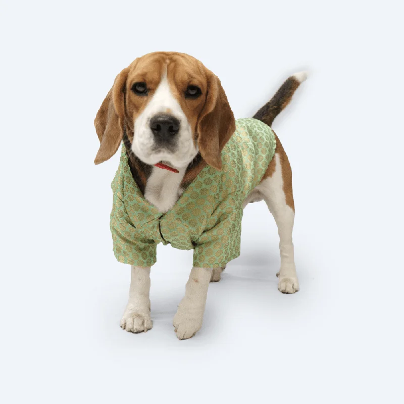- Smart cat litter box with automatic cleaningPawgypets Occasion Wear Shirt for Dogs and Cats (Pista Green)