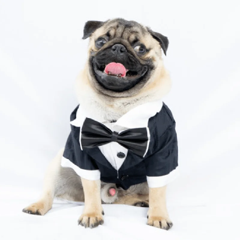Pet ProductsPawgypets Tuxedo for Dogs and Cats (Black)