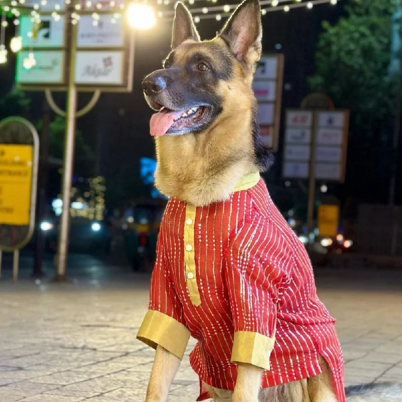 - Air box TSA certified check-inDogobow Georgette Embroidered Kurta for Dogs and Cats (Red)