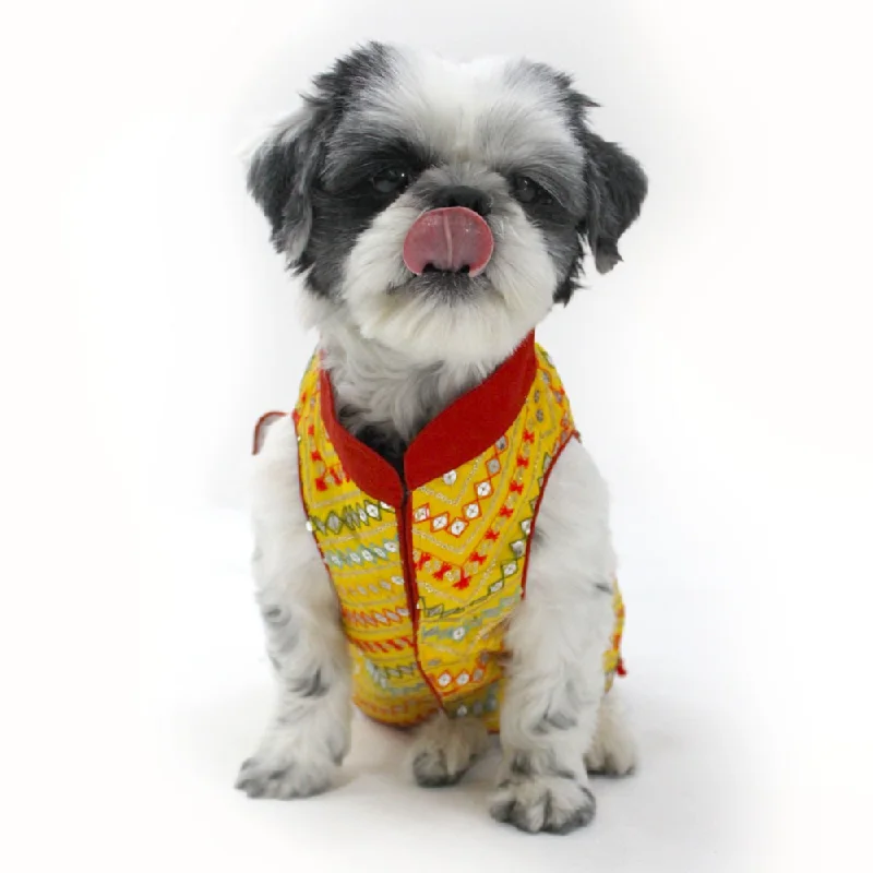 - ​​Christmas pet Christmas clothingDogobow Embroidered Sherwani for Dogs (Yellow)