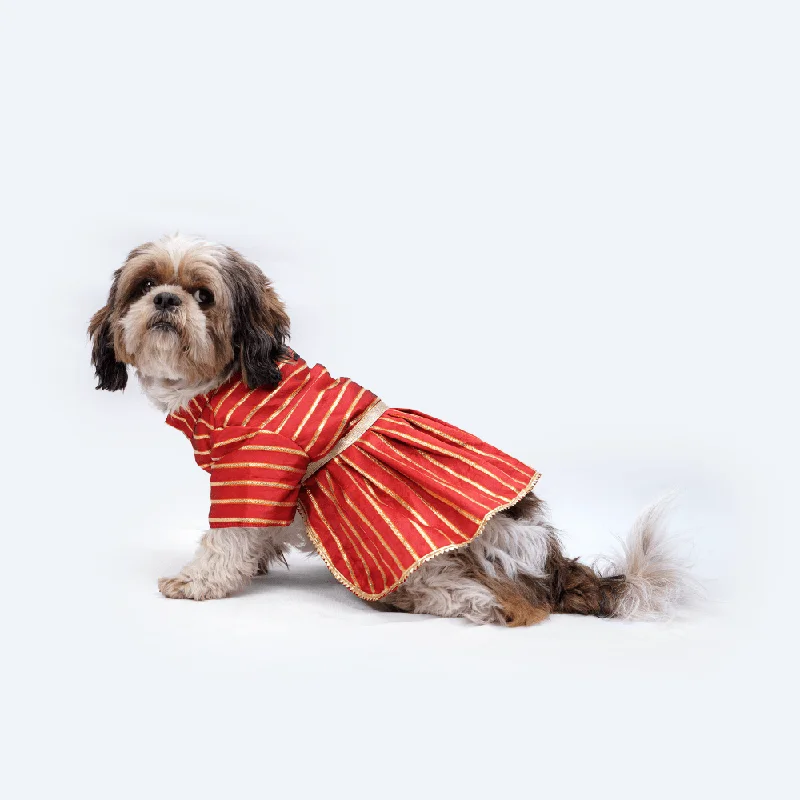 - Dog disposable foam shower gelPawgypets Occasion Wear Gota Dress for Dogs and Cats (Red)