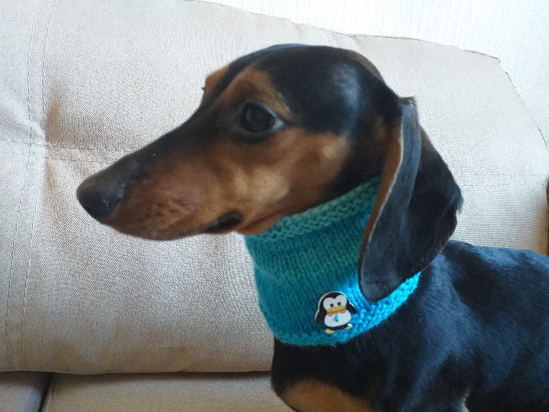 - Cat hair ball removal and hair removal creamChristmas snood dog scarf, dachshund scarf, dachshund snood, dog snood scarf