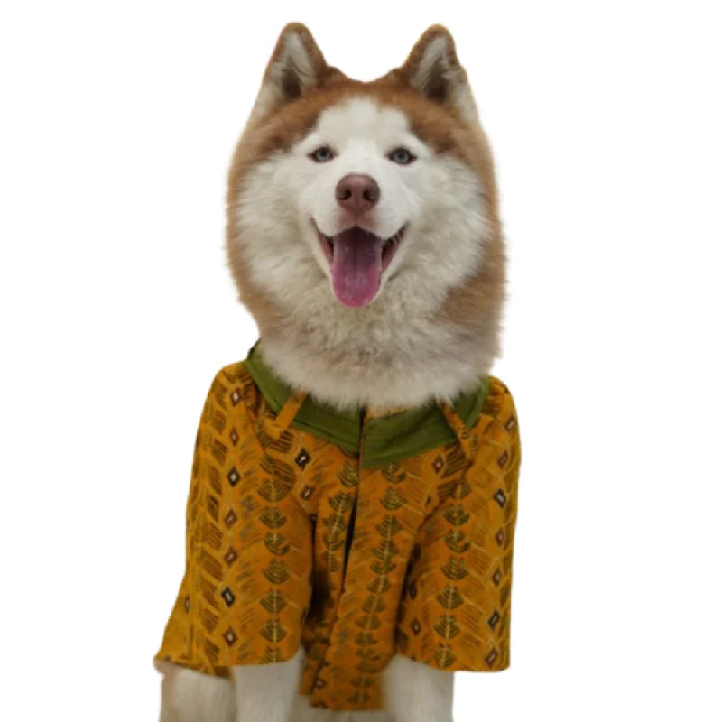 - Dog disposable foam shower gelFloof & Co Cotton Kurta for Dogs (Mustard)