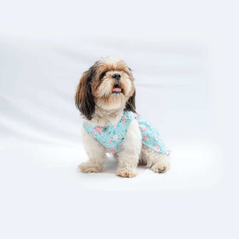 - Air box TSA certified check-inPawgypets Floral Casual Dress for Dogs and Cats