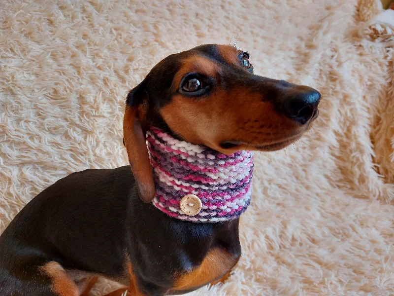 - Organic cotton dog bibsScarf snood for dog, scarf snood for small dogs, snood for dachshund, scarf for dachshund