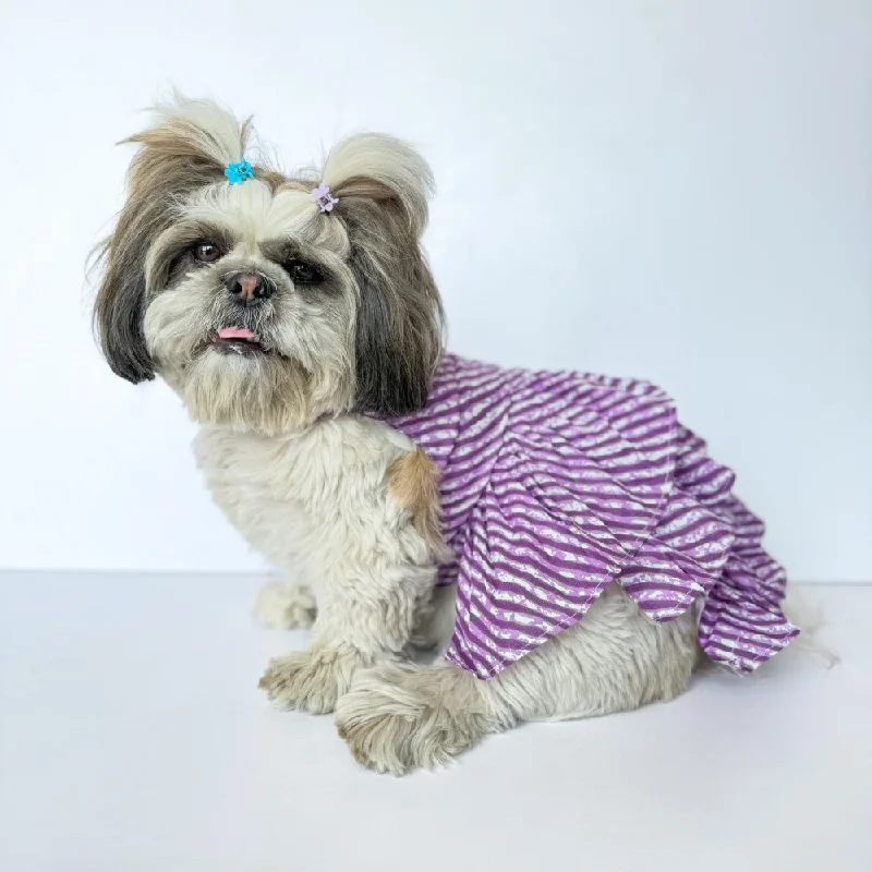 - Elderly dog ​​joint care mattressPawgypets Lehriya Dress for Dogs and Cats (Purple)