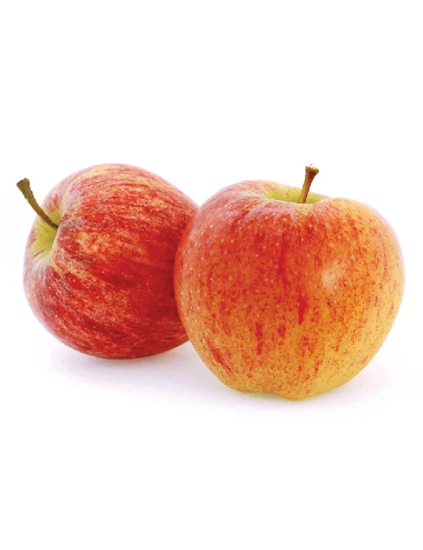 - Chinchilla cooling ice nest ceramic plateAPPLE Red Royal Gala, 3's (about 500g)