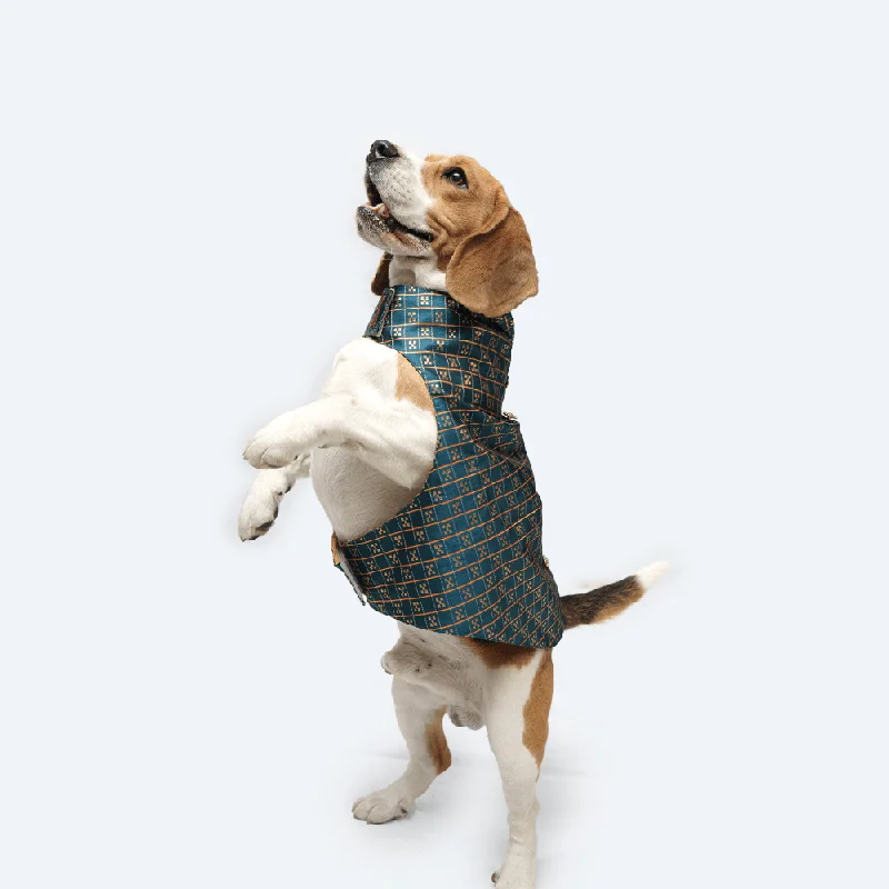 - Pet monitor with cameraPawgypets Strapy Sherwani for Dogs and Cats (Peacock Blue)