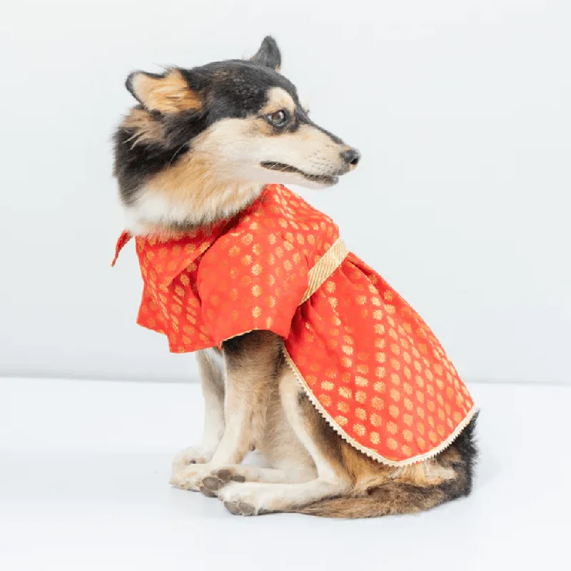 - Organic cotton dog bibsPawgypets Occasion Wear Dress for Dogs and Cats (Red)