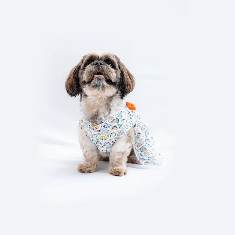 - Pet water dispenser UV sterilization versionPawgypets Rainbow Casual Dress for Dogs and Cats