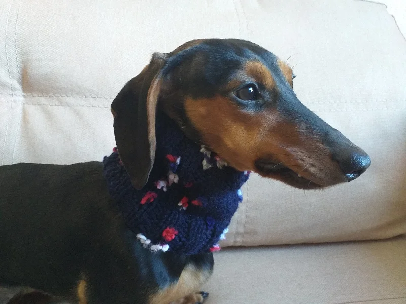- Custom pet birthday cakeButterfly flower dog snood scarf dog warm scarf winter clothes dog accessories fashion dog scarf puppy clothes