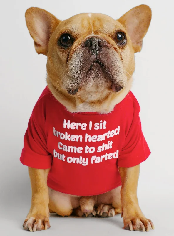 Dog clothesHere I Sit Broken Hearted Dog Tee