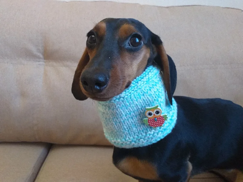  -Explosion-proof leash FOR LARGE dogsChristmas snood dog scarf, dachshund scarf, dachshund snood, dog snood scarf