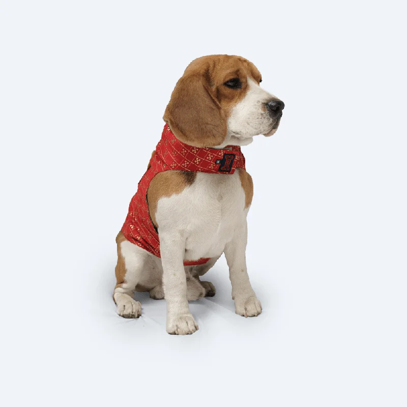 - Cat hair ball removal and hair removal creamPawgypets Strapy Sherwani for Dogs and Cats (Red)