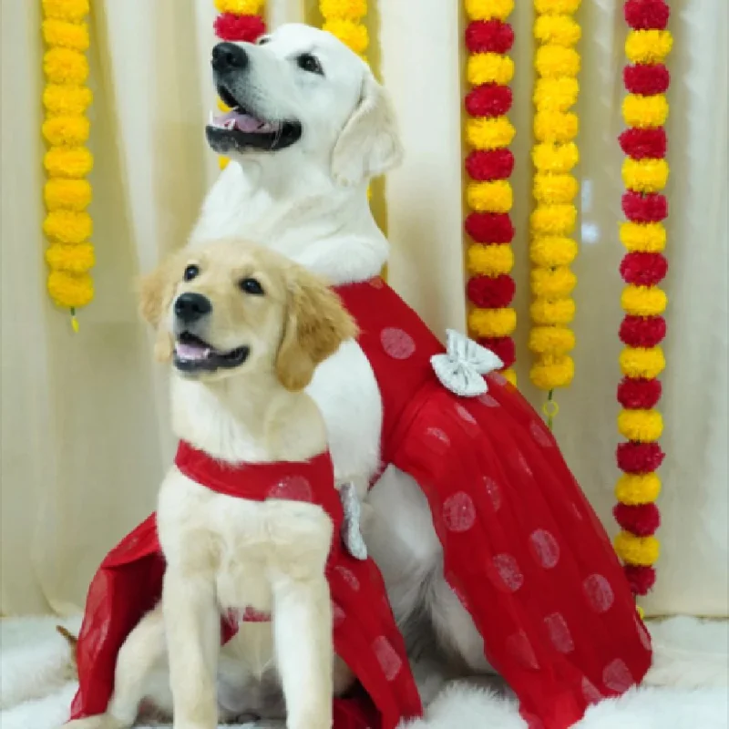 - Custom pet birthday cakeFloof & Co Frock for Dogs (Red & Silver)