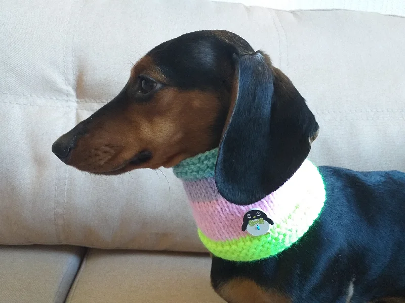 - Parrot climbing and standing wooden frameChristmas snood dog scarf, dachshund scarf, dachshund snood, dog snood scarf