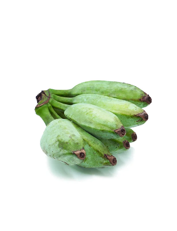 - Postoperative pet anti-licking Elizabethan collarASH Plantain