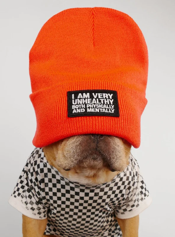 Pet winter warm clothesVery Unhealthy Beanie