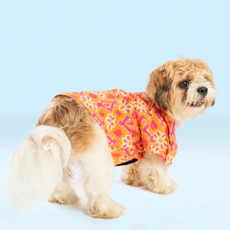 - Parrot climbing and standing wooden framePet Set Go Phool Cotton Shirt for Dogs (Orange)