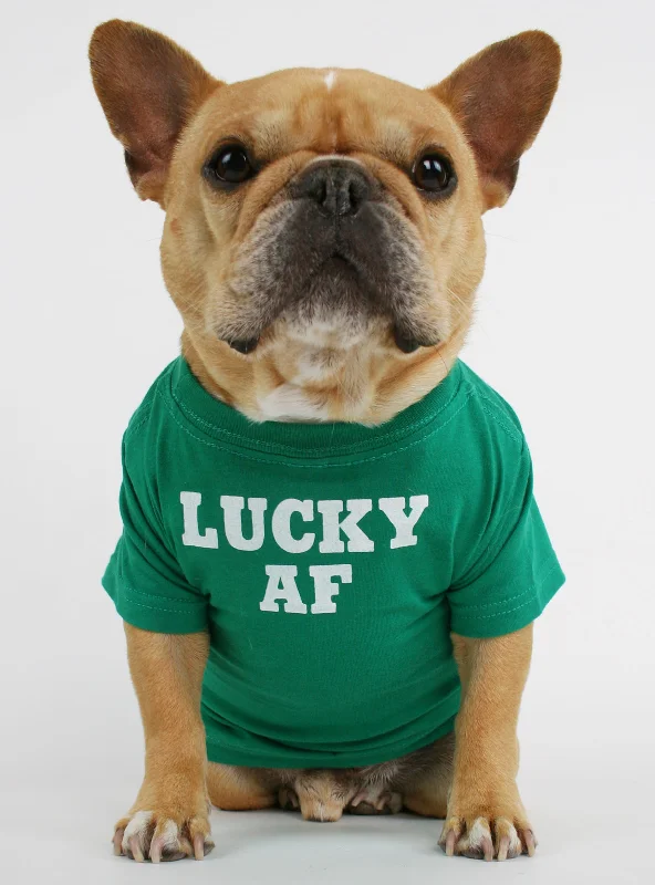 Pet wedding dressesLucky AF Dog Tee