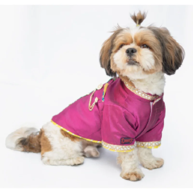 Pet ProductsPawgypets Raw Silk Sherwani for Dogs and Cats (Rani)