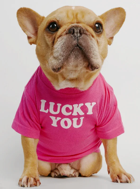 Pet lace clothesLucky You Dog Tee