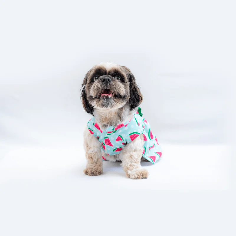 - Natural latex pet mattressPawgypets Watermelon Casual Dress for Dogs and Cats